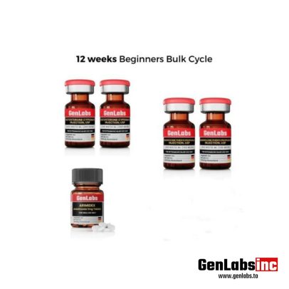 12 Weeks Beginners Bulk Cycle